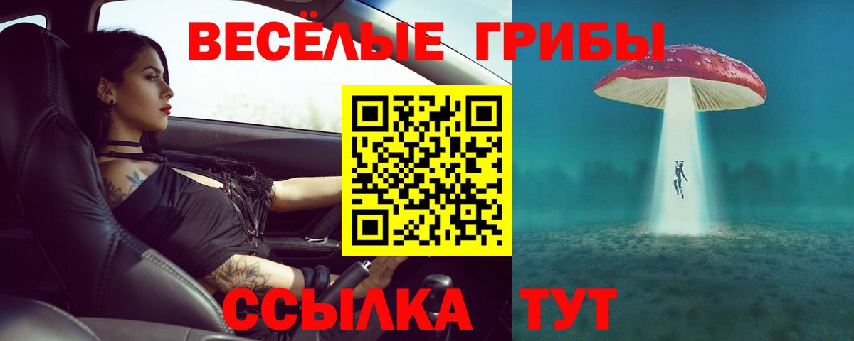 Галлюциногенные грибы прущие грибы  Вход с VPN  Саянск 